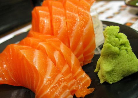 Sushi Train - Hotel Accommodation 0