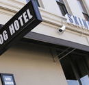 Skinny Dog Hotel - Hotel Accommodation