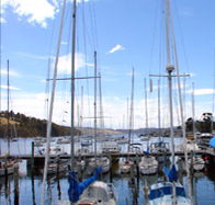 Oyster Cove Inn - Hotel Accommodation