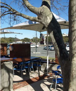 Lakers Tavern - Hotel Accommodation 3