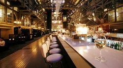 Water Bar Sydney - Hotel Accommodation 3