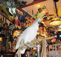 A Friend In Hand - Hotel Accommodation