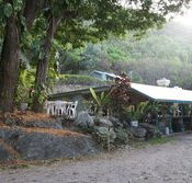 Ellis Beach Bar  Grill - Hotel Accommodation