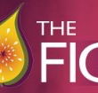 Naked Fig - Hotel Accommodation