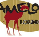 Camelot Lounge - Hotel Accommodation