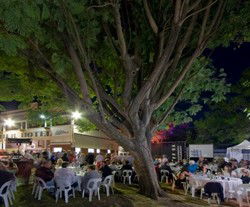 Premier Hotel - Hotel Accommodation 2