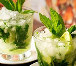 Coco Cubano - Darlinghurst - Hotel Accommodation 2