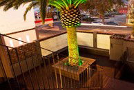 Villa Nightclub - Hotel Accommodation 3
