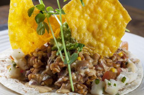 Warragamba Workers Club - Hotel Accommodation 5