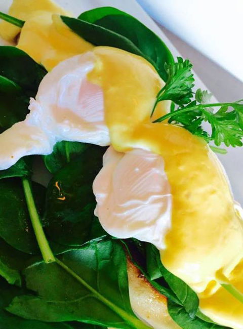 The Juniors - Hotel Accommodation 4