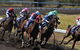 Alice Springs Turf Club - thumb 0