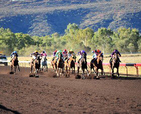 Alice Springs Turf Club - Hotel Accommodation 6