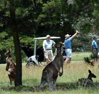 Glen Innes Golf Club - Hotel Accommodation