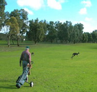 Coffin Bay Golf Club - Hotel Accommodation