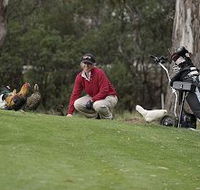 Tasmania Golf Club - The - Hotel Accommodation