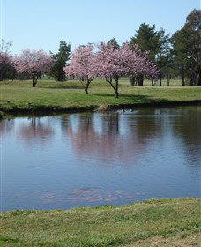 RMC Golf Club - Hotel Accommodation 0