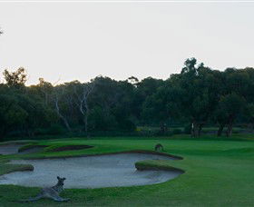 Anglesea Golf Club - Hotel Accommodation 8