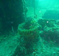 Wallaroo Scuba Club - Hotel Accommodation