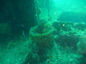 Wallaroo Scuba Club - Hotel Accommodation 0