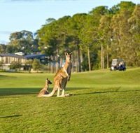 Sanctuary Cove Golf and Country Club - Hotel Accommodation
