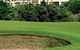 NSW Golf Club - thumb 0
