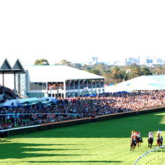 South Australian Jockey Club - Hotel Accommodation 0