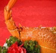 Marigold - Hotel Accommodation