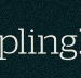 Dumpling Republic - Hotel Accommodation