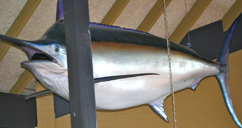 Crescent Head Tavern - Hotel Accommodation 3