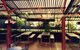 Oasis Bar - thumb 3