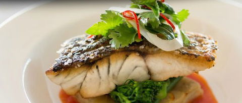 Orso Bayside Restaurant - Hotel Accommodation 1