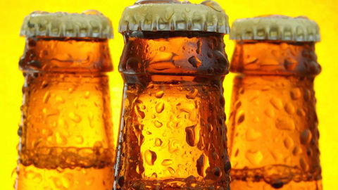 Toucan Hotel Group - Hotel Accommodation 2