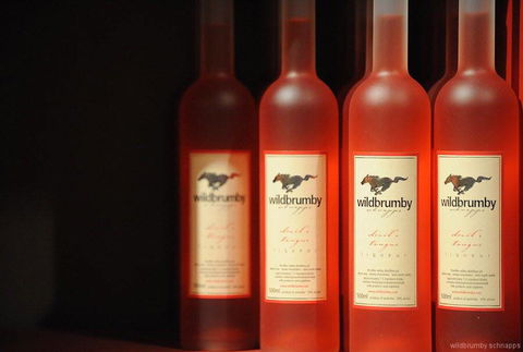 Fennell Bay Cellars - Hotel Accommodation 0