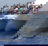 MoonshadowTQC Cruises - Hotel Accommodation