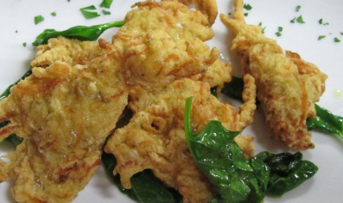 Haberfield NSW Hotel Accommodation