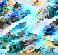 Alcohol Ink Art Class - Hotel Accommodation