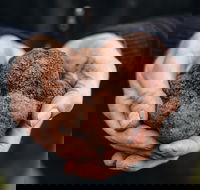 A Taste of Truffles - Hotel Accommodation