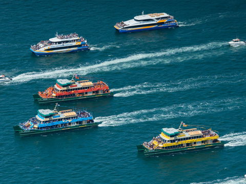 Australia Day Sydney Harbour Cruises - Hotel Accommodation 1