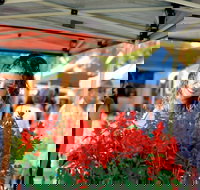 Ballina Missingham Farmers Market - Hotel Accommodation