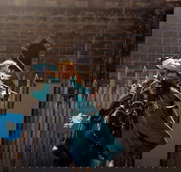 Baroque Horse Festival - Hotel Accommodation