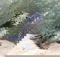 Bathurst Arts Trail - Hotel Accommodation