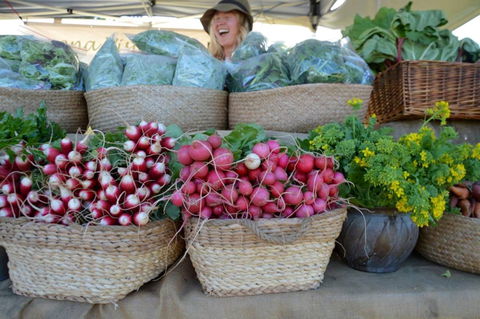 Berry Farmers' Market - Hotel Accommodation 0