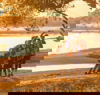 Brisbane Coastrek 2020 - Hotel Accommodation