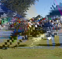 Casino Golf Club Markets - Hotel Accommodation
