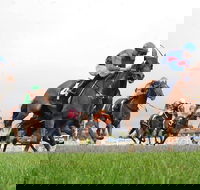 Christmas Cup Race Day - Hotel Accommodation