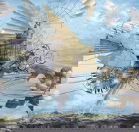 Dreams of Air and Flight - Hotel Accommodation