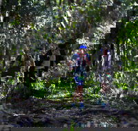 Elephant Trail Race - Hotel Accommodation