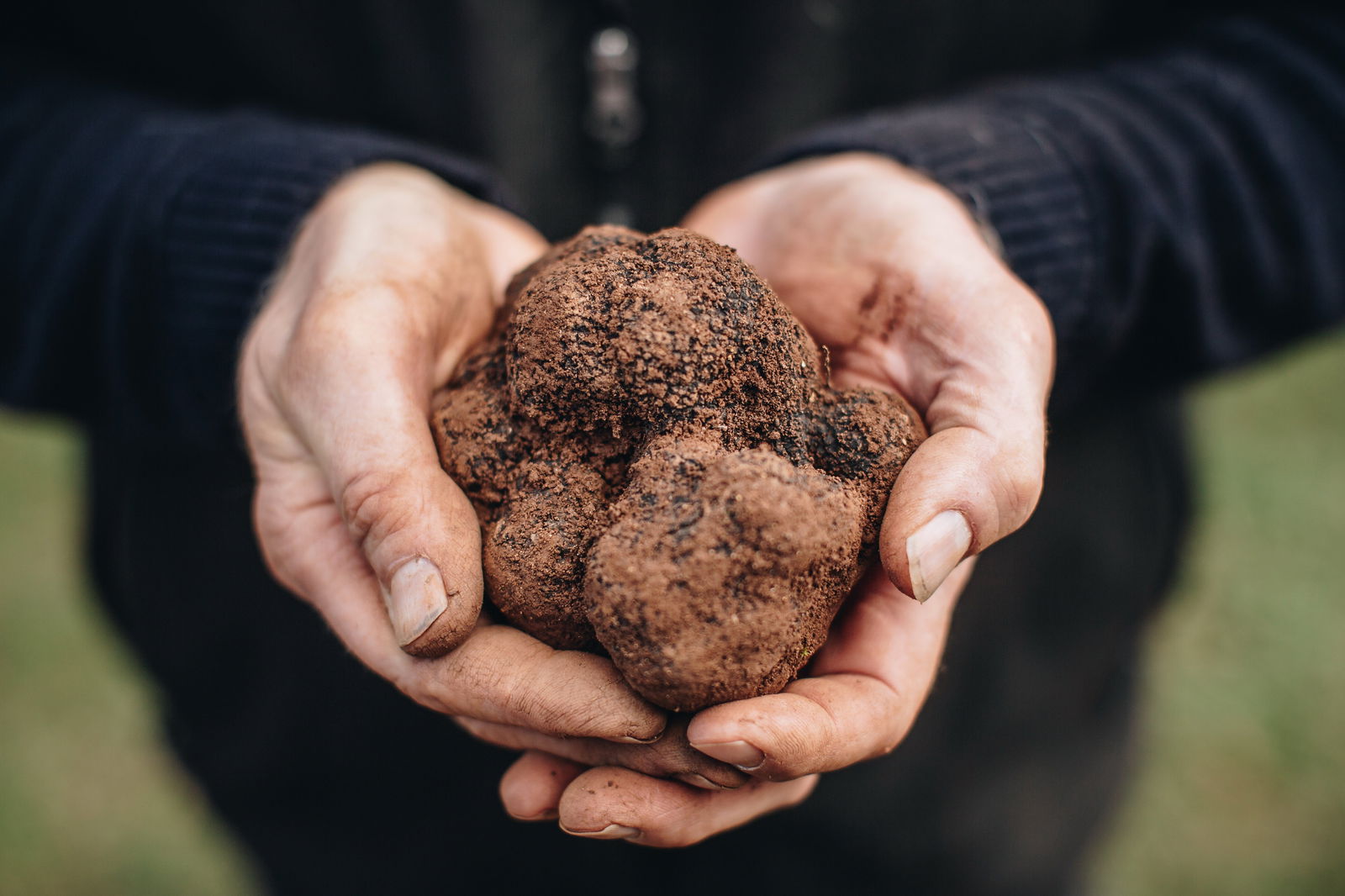 Wattle Flat VIC Hotel Accommodation