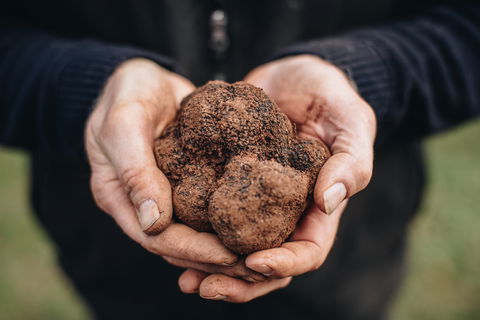 Feast And Forage - Craig's Royal Hotel - Hotel Accommodation 0