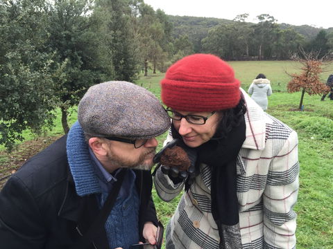 Feast And Forage - Craig's Royal Hotel - Hotel Accommodation 1